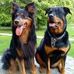 Nancy Jubb - Facebook