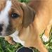 Nancy Imhoff - Facebook