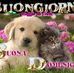 Nancy Impellizzeri - Facebook