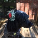 Nancy Ironside - @nancy_ironside - Instagram