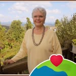 Nancy Elliott Irving - @nancyirving403 - Instagram