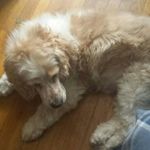 Nancy Irving Fraser - @nancyirvingfraser - Instagram