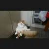 Ishida Nancy - @ishida.nancy - TikTok