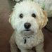 Nancy Ishikawa - Facebook