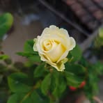 Nancy Islam - Facebook