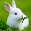 nancy islam - @user7540428615368 - TikTok