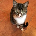 Nancy Ives - @ives9469 - Instagram
