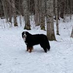 Nancy Ives - @nancy.ives.50 - Instagram