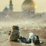 Nancy_@jaber - @nancy_jaber2053 - Instagram
