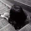 nancyjaber2 - @nancy._.jaber - TikTok