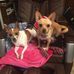 Nancy Jablonski - Facebook