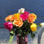 Nancy Jablonski - @nanc6vette - Instagram