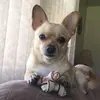 nancyjablonski - @nancyjablonski - TikTok