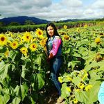 Nancy Jacinto - @nancyjacinto5 - Instagram