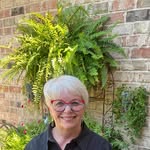 Nancy Jackson - @nancyjackson2366 - Instagram