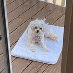 Nancy Janik Ludwig - @nancyjanikludwig - Instagram