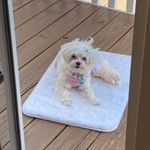 Nancy Janik-Ludwig - @tifnan2022 - Instagram