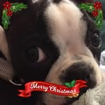 Nancy Jayne - @nancyjayne746 - Instagram