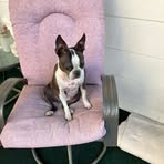 Nancy Jayne - Facebook