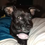 Nancy Jayne Marks - Facebook