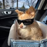 Nancy Jen - @bcwanderinggypsy - Instagram