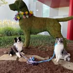 Nancy Jenkins - @nancyjenkins5119 - Instagram