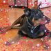 Nancy Jeschke - Facebook