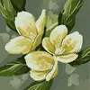 Nancy Johnson - @nancy.johnson318 - TikTok