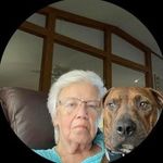 Nancy Johnson - @njohnson19476 - Instagram