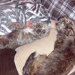 Nancy Joiner - @joiner2401 - Instagram