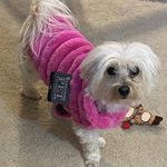 Nancy Judd - @jeebscat - Instagram