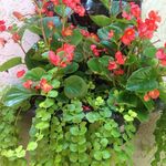 Nancy Lee Judd - @nancy_judd - Instagram