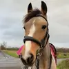 Nancy🤍✝️ - @nancy.showjumper - TikTok