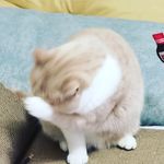 @nancyjust - Instagram