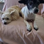 Nancy Justice - @nancyjustice36 - Instagram