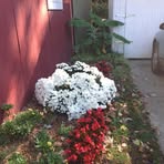 Nancy Kahl - Facebook