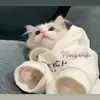 Nancy Kahlifa - @nancykahlifa - TikTok