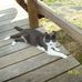 Nancy Kainz - Facebook