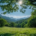 Nancy Rumfield Kalb - @kalbnan - Instagram