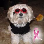 Nancy Kaley - @nancy.buddy.7 - Instagram