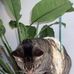 Nancy Karlin - Facebook