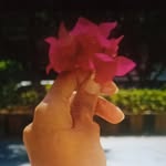 nancy kawa - @nanvy7890 - Instagram