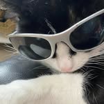 ☆Nancy Kay's☆ - @nancy.kays_ - Instagram
