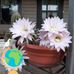 Nancy Kenser - Facebook