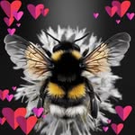 Nancy Jones-Kellar - @joneskellar - Instagram