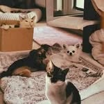 NanCy Kelm - @kelm4890 - Instagram