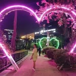 Nancy Kelman - @nancy.kelman.7 - Instagram