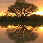 Nancy Kerley - @ann.brummet - Instagram