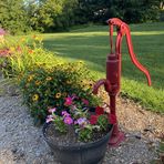 Nancy Keyes - Facebook