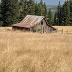 Nancy Keyes - Facebook